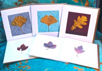 Flower Press -all seasons card range : Real Leaf greeting cards