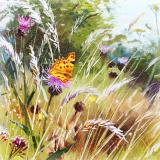 British Butterflies - New ! card range : BB 03  COMMA
