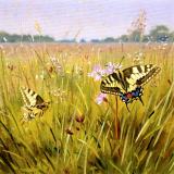 British Butterflies - New ! card range : BB 09  SWALLOWTAIL