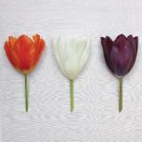Flower Press -all seasons card range : FP36  Three Tulips