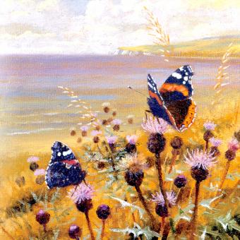 Flower Press -all seasons card range : BB 05  RED ADMIRAL