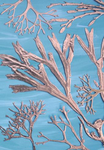 Flower Press -all seasons card range : BG09 MARINE 