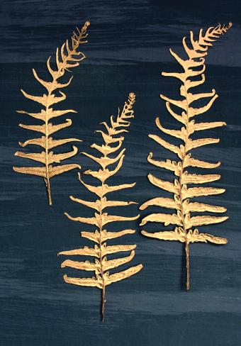 Flower Press -all seasons card range : BG10 THREE FERNS 