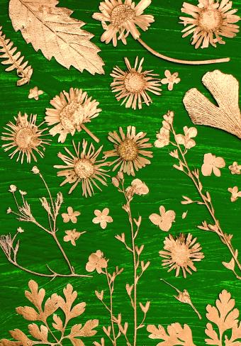 Flower Press -all seasons card range : BG11 MEADOW