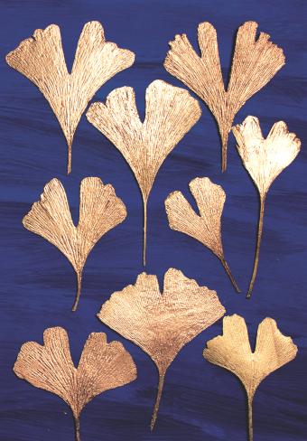 Flower Press -all seasons card range : BG13 GINGKO