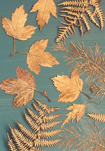 Flower Press -all seasons card range : BG14 VIBURNUM