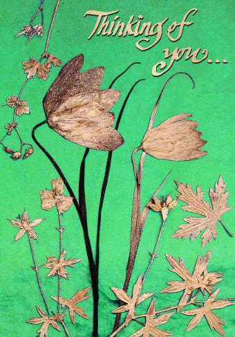 Flower Press -all seasons card range : BG15 THINKING OF YOU