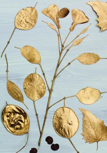 Flower Press -all seasons card range : BG20 HONESTY 