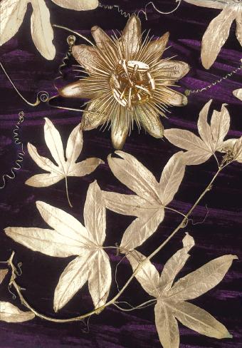 Flower Press -all seasons card range : BG25 PASSION FLOWER