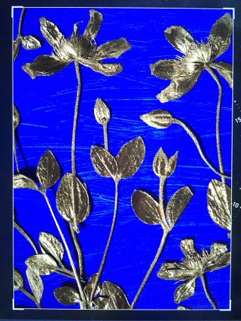 Flower Press -all seasons card range : NEW! BG26 CLEMATIS 