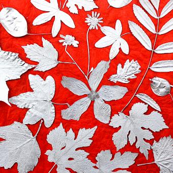 Flower Press -all seasons card range : FP 03 Silver Collage 3