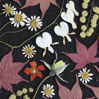 Flower Press -all seasons card range : FP 08 Bleeding Heart 