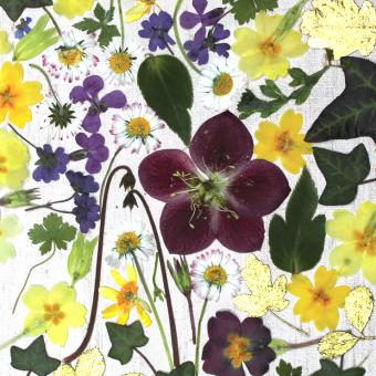 Flower Press -all seasons card range : FP 24  Hellebore 