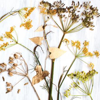 Flower Press -all seasons card range : FP39 FENNEL 