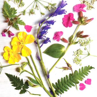 Flower Press -all seasons card range : NEW!  FP44 SPRING MEADOW 