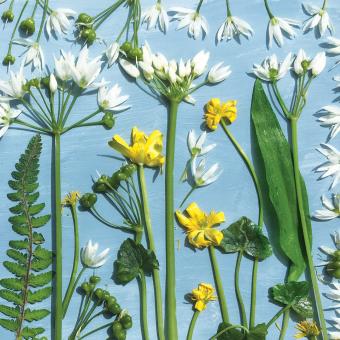 Flower Press -all seasons card range : FP53 NEW! Wild Garlic