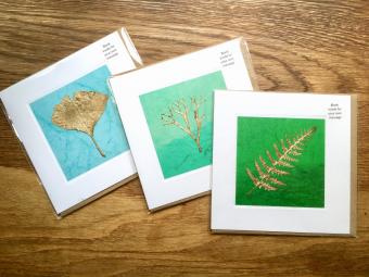 Flower Press -all seasons card range : REAL LEAF CARDS