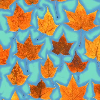 Flower Press -all seasons card range : LP03 Maple   