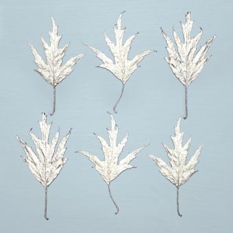 Flower Press -all seasons card range : NEW! Silver Birch 3  LP14