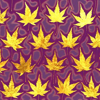 Flower Press -all seasons card range : LP07  Acer, Gold Leaf  
