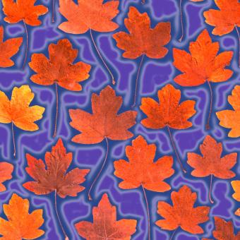 Flower Press -all seasons card range : LP23  Hawthorn  