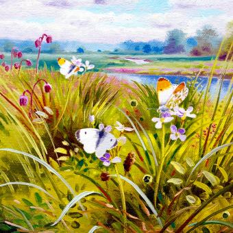 Flower Press -all seasons card range : BB 17 ORANGE TIP