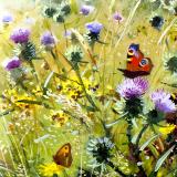 British Butterflies  card range : BB 01  PEACOCK