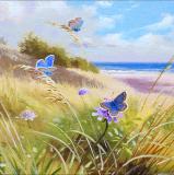 British Butterflies  card range : BB 14   COMMON BLUE