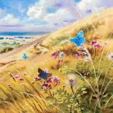 British Butterflies  card range : BB 16  ADONIS BLUE