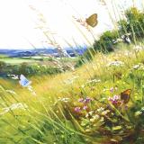 British Butterflies  card range : BB25 BUTTERFLY TRIO