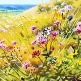 British Butterflies  card range : BB26 Downland Butterflies 