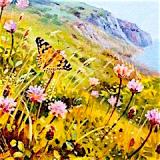 British Butterflies  card range : BB29  PAINTED LADY ARRIVAL