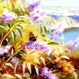 British Butterflies  card range : BB30 NEW!  RED ADMIRAL