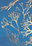 Botanic Gold  NEW !  card range : BG01 SEAWEED