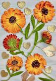 Botanic Gold  NEW !  card range : New! BG29 Calendula 