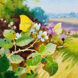 British Butterflies  card range : BB20 BRIMSTONE   