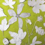 Flower Press -all seasons card range : FP 02  Silver Collage 2