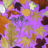 Flower Press -all seasons card range : FP 05 Autumn Collage 