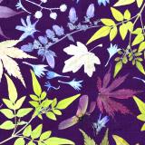 Flower Press -all seasons card range : FP 13  Campanula 