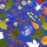 Flower Press -all seasons card range : FP15  Cornflower 