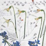 Flower Press -all seasons card range : FP16 SNOWDROPS 1