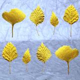 Leaf Press card range : LP19  Gold leaves 4 (grey)