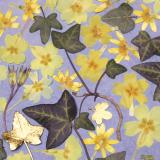 Flower Press -all seasons card range : FP 27  Celandine 