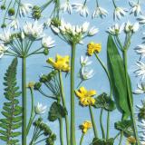 Flower Press -all seasons card range : FP53 NEW! Wild Garlic