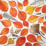Flower Press -all seasons card range : NEW! FP59 Cotinus Collage