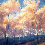 Landscapes card range : LD 02