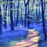 Landscapes card range : LD 03