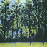 Landscapes card range : LD 04
