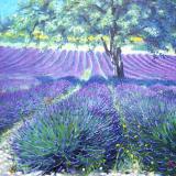 Landscapes card range : LD 07