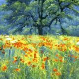 Landscapes card range : LD 11